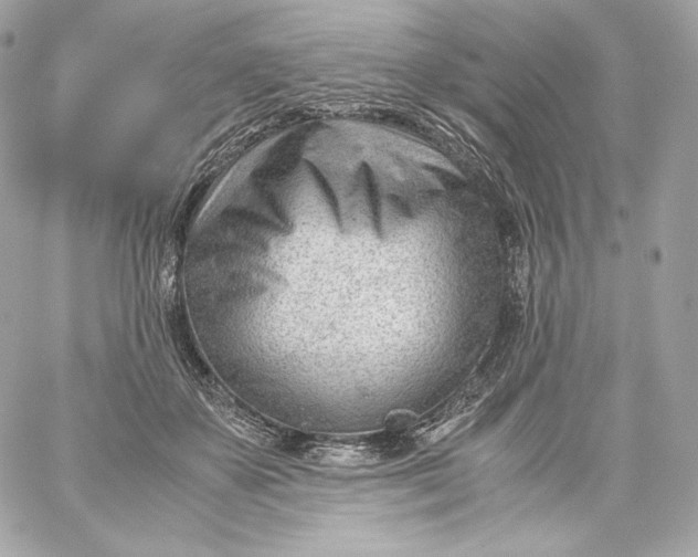 X0000060230507200511111907