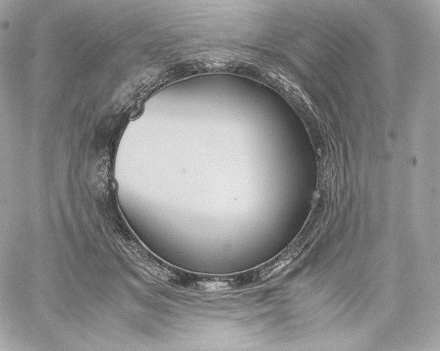 X0000060230509200511111907