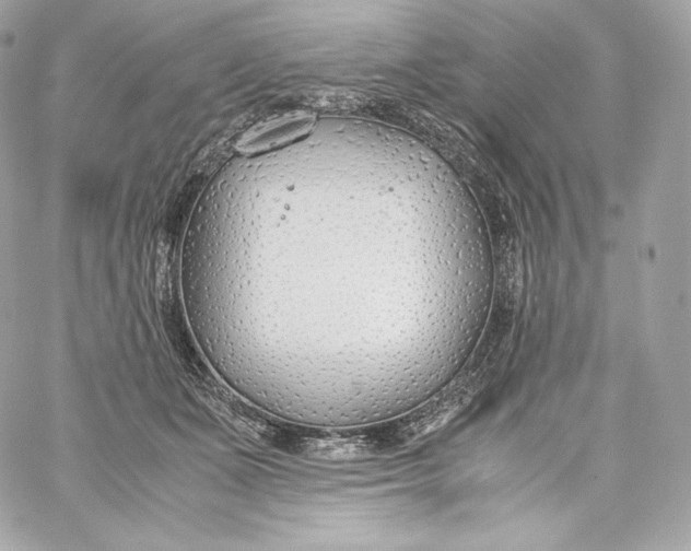 X0000060230511200511111907