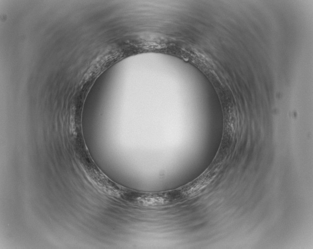 X0000060230512200511111907