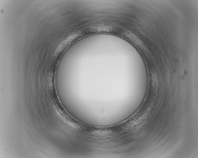 X0000060230537200511111906