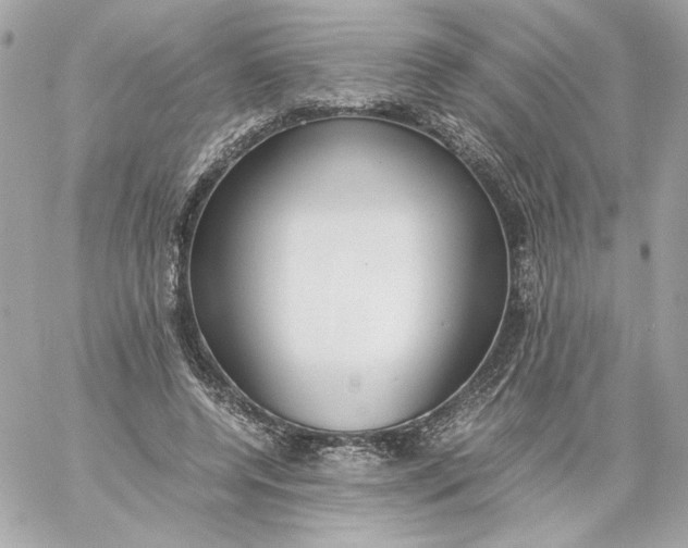 X0000060230544200511111906
