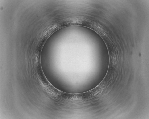 X0000060230546200511111906
