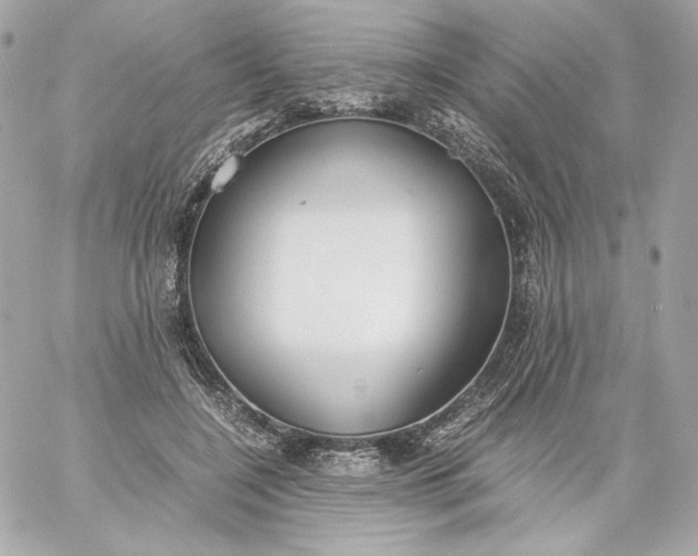 X0000060230548200511111906