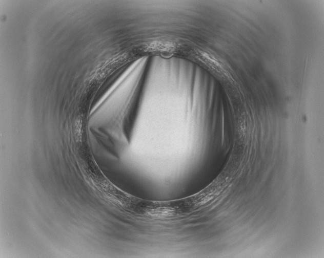 X0000060230551200511111906
