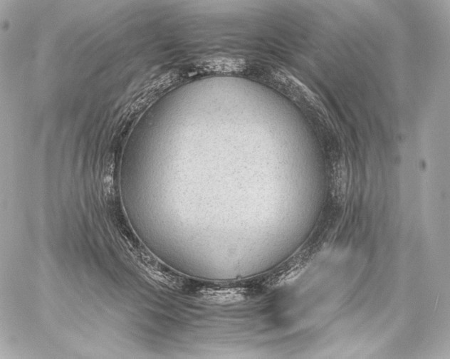 X0000060230553200511111906