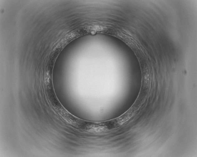 X0000060230555200511111906