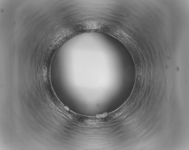 X0000060230556200511111906