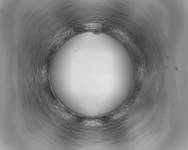 X0000060230557200511111906