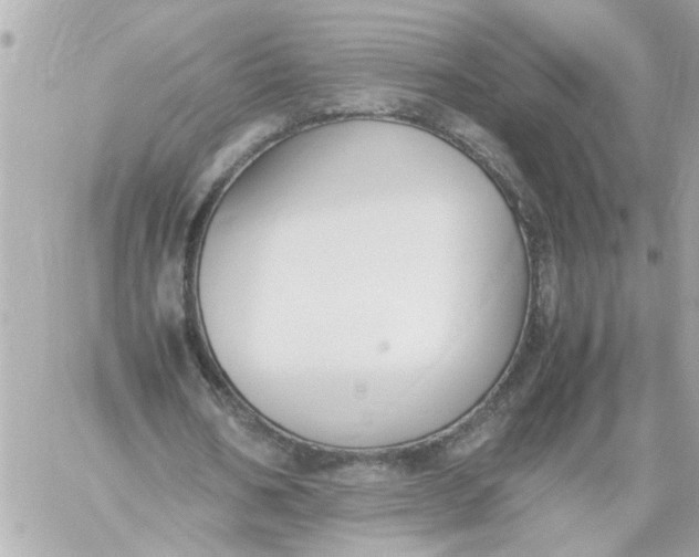 X0000060230578200511111905