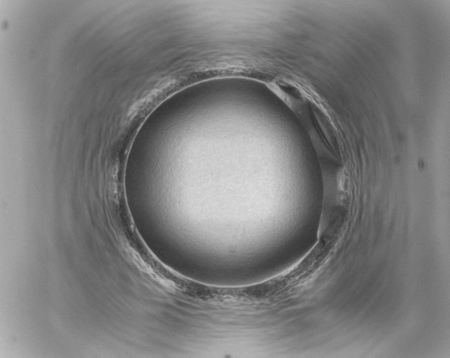 X0000060230585200511111905