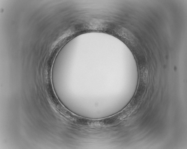 X0000060230587200511111905