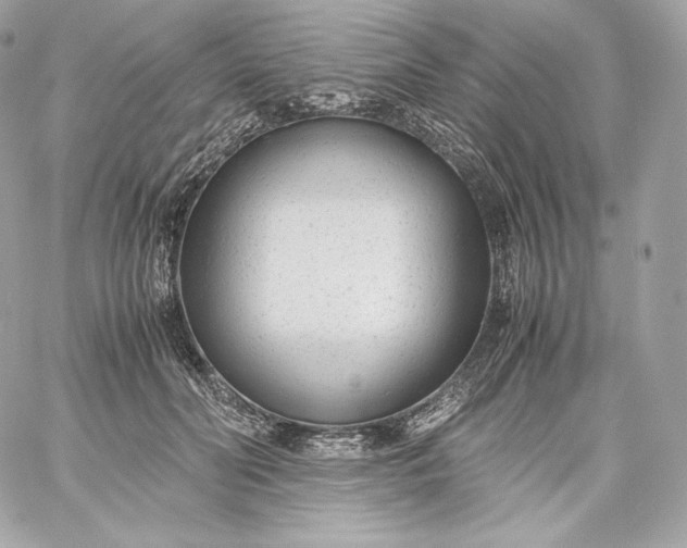 X0000060230606200511111905