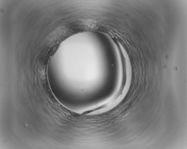 X0000060230613200511111905