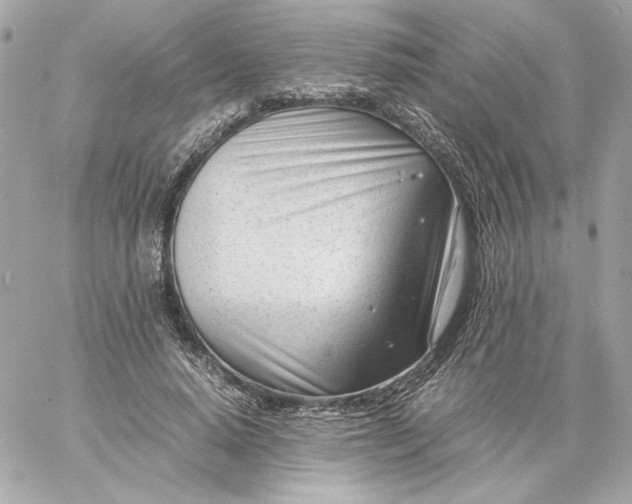 X0000060230640200511111904