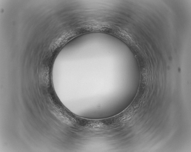 X0000060230642200511111904