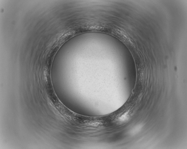 X0000060230643200511111904