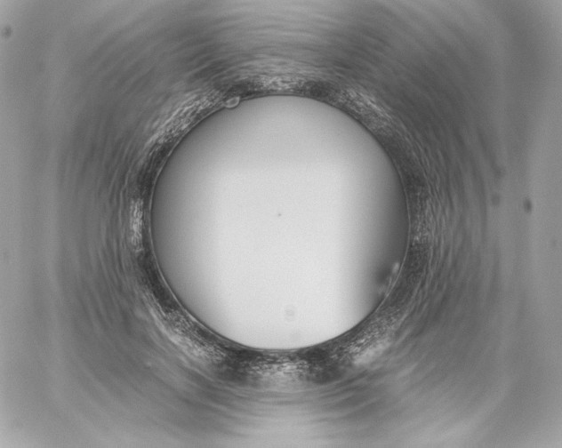 X0000060230646200511111904