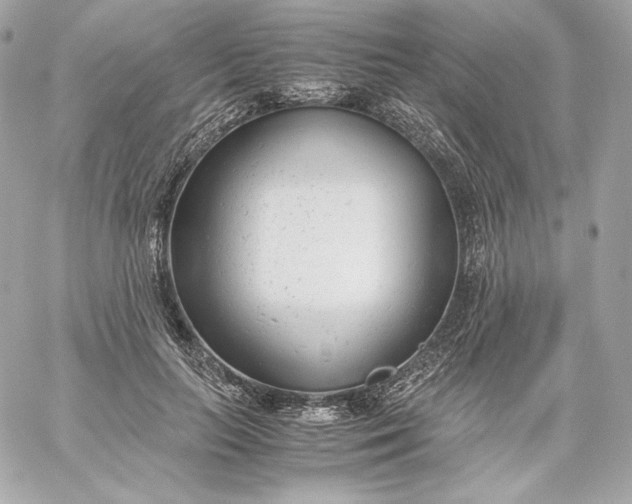 X0000060230647200511111904