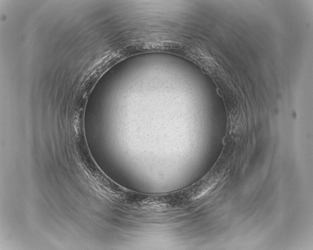 X0000060230648200511111904