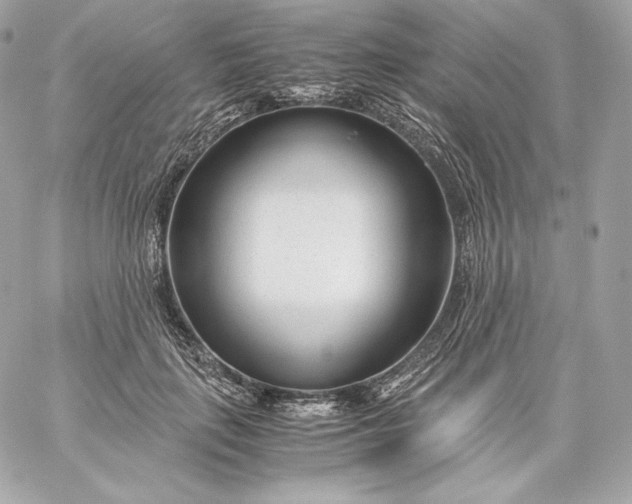 X0000060230651200511111904