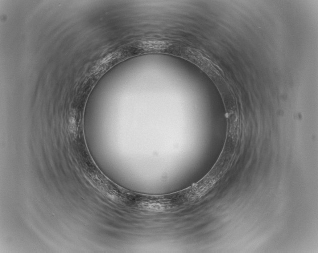 X0000060230655200511111904