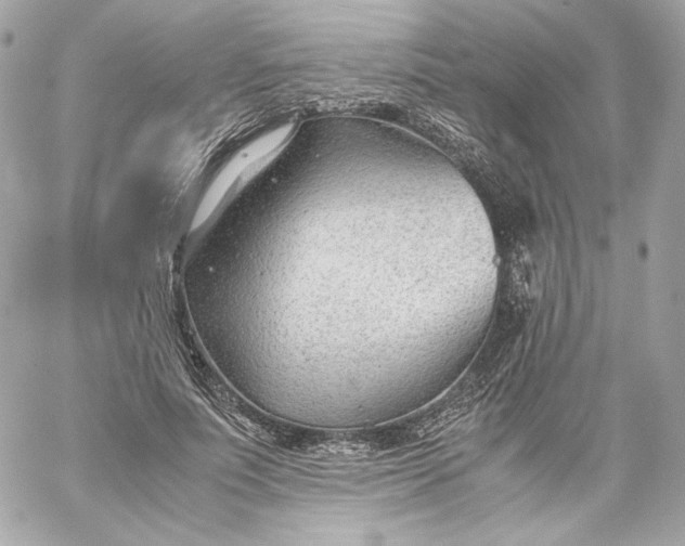 X0000060230691200511111904