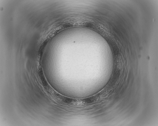 X0000060230695200511111904