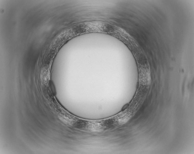 X0000060230701200511111903