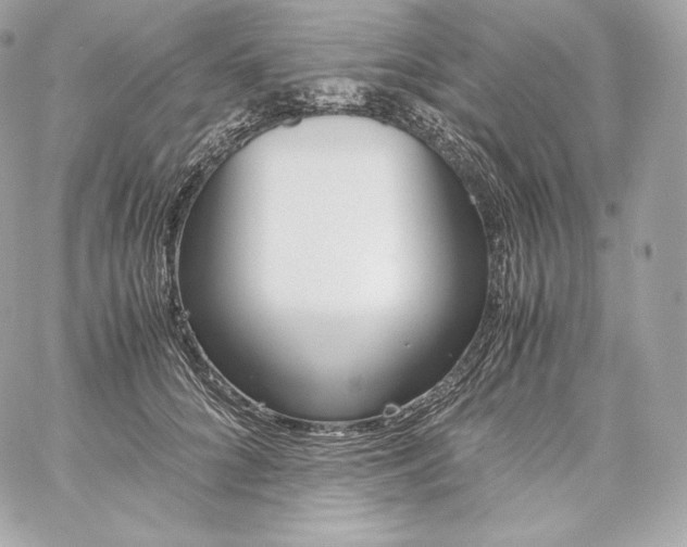 X0000060230704200511111903