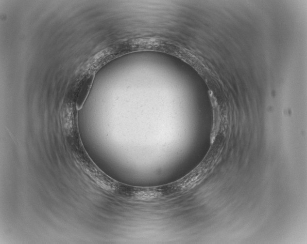 X0000060230708200511111903