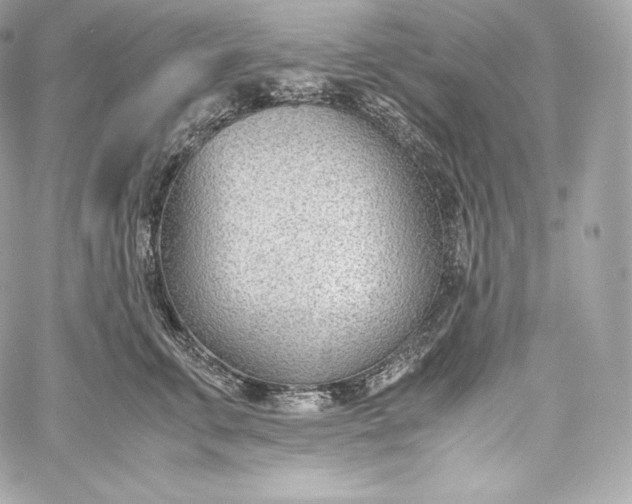 X0000060230711200511111903