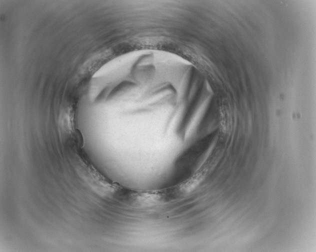 X0000060230718200511111903