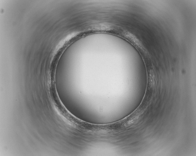 X0000060230726200511111902