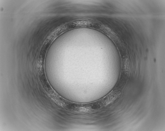 X0000060230737200511111903