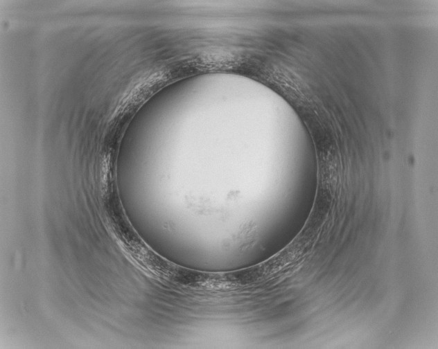X0000060230742200511111903