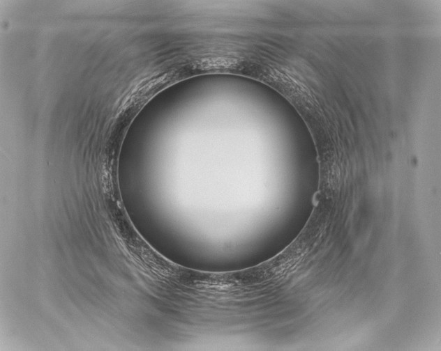X0000060230743200511111903