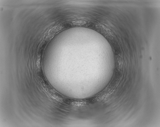 X0000060230745200511111903