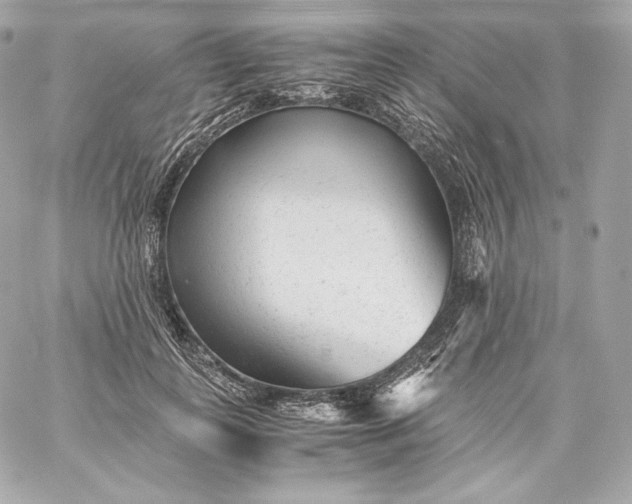 X0000060230747200511111903