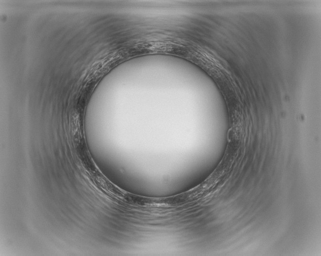 X0000060230748200511111903