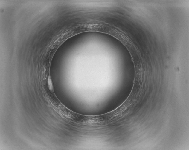 X0000060230750200511111903