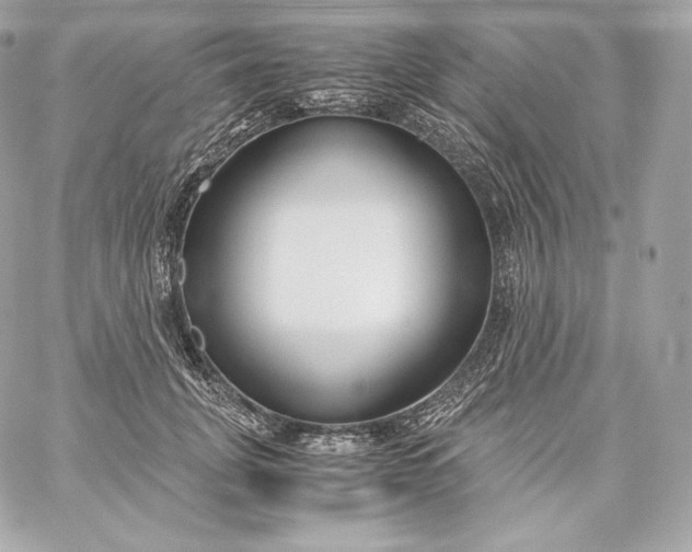 X0000060230751200511111903