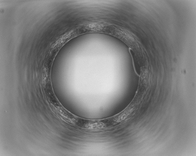 X0000060230752200511111903