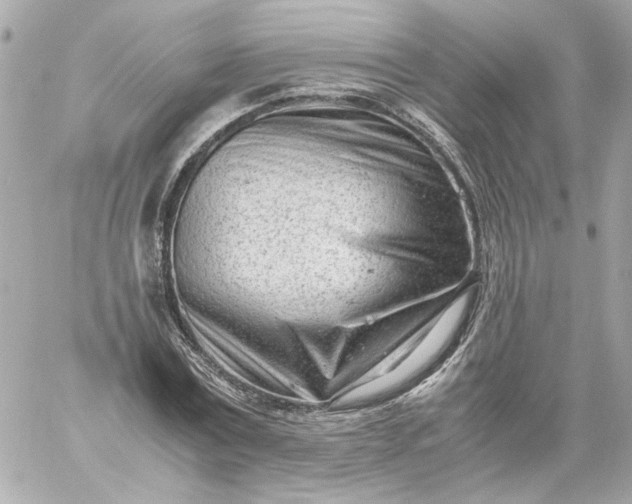 X0000060230779200511111902