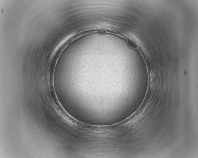 X0000060230780200511111902