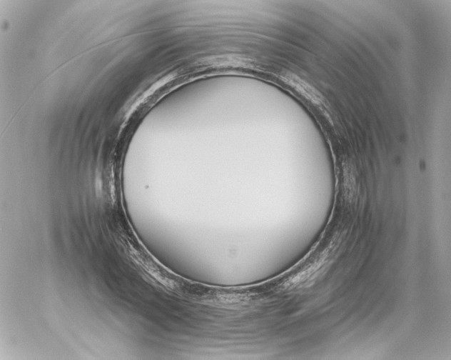 X0000060230782200511111902