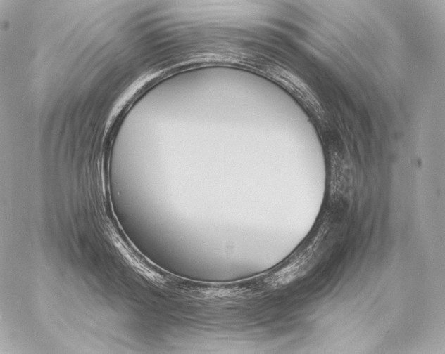 X0000060230796200511111902