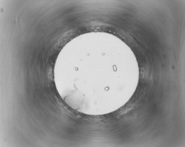 X0000060230820200511111901