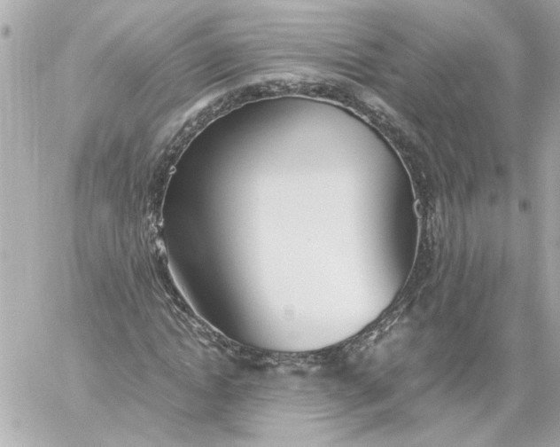 X0000060230822200511111901