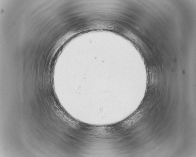 X0000060230828200511111901